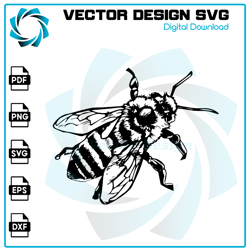 Bee SVG, Bee PNG, Bee Vector, Bee, SVG, PNG, EPS, digital download 17