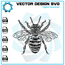 Bee SVG, Bee PNG, Bee Vector, Bee, SVG, PNG, EPS, digital download 31
