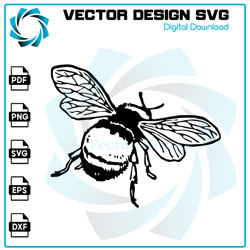 Bee SVG, Bee PNG, Bee Vector, Bee, SVG, PNG, EPS, digital download 37