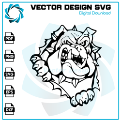 Bulldog SVG, Bulldog PNG, Bulldog Vector, Bulldog, SVG, PNG, EPS, digital download