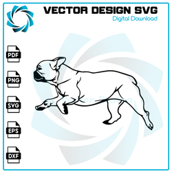Bulldog SVG, Bulldog PNG, Bulldog Vector, Bulldog, SVG, PNG, EPS, digital download 17