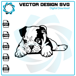 Bulldog SVG, Bulldog PNG, Bulldog Vector, Bulldog, SVG, PNG, EPS, digital download 19