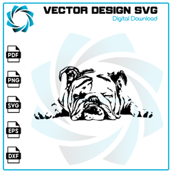 Bulldog SVG, Bulldog PNG, Bulldog Vector, Bulldog, SVG, PNG, EPS, digital download 23