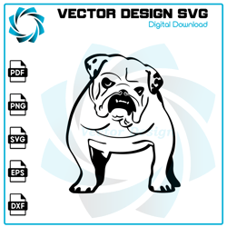Bulldog SVG, Bulldog PNG, Bulldog Vector, Bulldog, SVG, PNG, EPS, digital download 24
