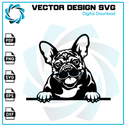 Bulldog SVG, Bulldog PNG, Bulldog Vector, Bulldog, SVG, PNG, EPS, digital download 25