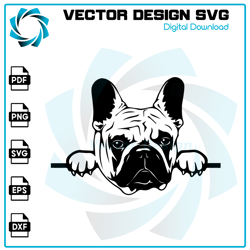 Bulldog SVG, Bulldog PNG, Bulldog Vector, Bulldog, SVG, PNG, EPS, digital download 26