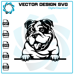 Bulldog SVG, Bulldog PNG, Bulldog Vector, Bulldog, SVG, PNG, EPS, digital download 28