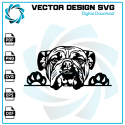 Bulldog SVG, Bulldog PNG, Bulldog Vector, Bulldog, SVG, PNG, EPS, digital download 39