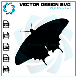 Butterfly SVG, Butterfly PNG, Butterfly Vector, Butterfly, SVG, PNG, EPS, digital download 9