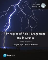 TestBank Principles of Risk Management and Insurance 13th Edition Rejda