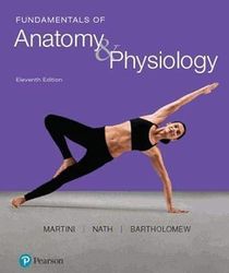 TestBank Fundamentals of Anatomy and Physiology 11th Edition by Frederic Martini