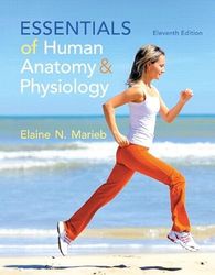 TestBank Essentials of human anatomy and physiology 11th edition by Marieb