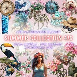 Summer Pack 4-6 Clipart, Summer PNG, Transparent Clipart, Watercolor Summer Clipart, Summer Floral Clipart