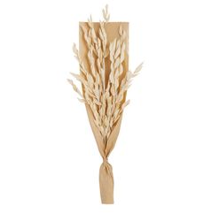 Dried Fire Leaf Palm Bunch , color: Ivory