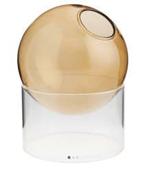 Round Glass Ball Vase With Stand , color: Apricot
