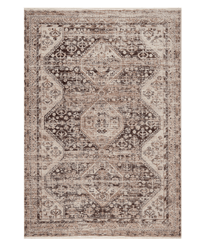 Caspian Traditional Style Area Rug , color: Brown