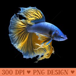 yellow & blue siamese fighting betta fish aquarium owner - png templates download - limited edition and exclusive design
