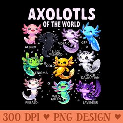 axolotl kawaii axolotls of the world axolotl animals - png download for graphic design