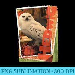 harry potter hedwig photo collage - exclusive png designs