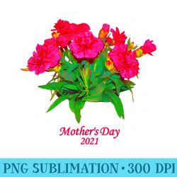 mothers day carnation color photo - png design assets