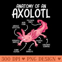 axolotl anatomy of axolotl science pet axolotl lover - vector png clipart