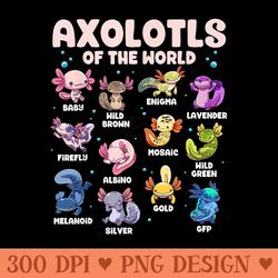 axolotl kawaii axolotls of the world axolotl animals - clipart png