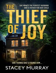 The Thief of Joy - Stacey Murray