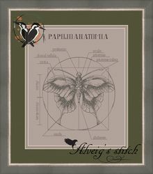 Papilio Anatomia Butterfly Cross Stitch Pattern PDF
