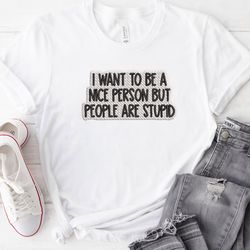 I want to be a Nice Person Embroidered Tshirt, Funny Quote Embroidered Sweatshirt, Embroidered Hoodie, Gift For Her