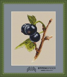 a blackcurrant wish counted cross stitch pattern, pdf, cssaga file, needlepoint cross stitch , cross stitch nature,fruit