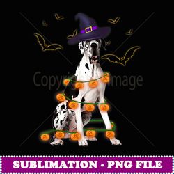 great dane wizard hat tree lights pumpkin funny halloween - png transparent sublimation file