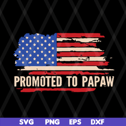 Promoted to papaw American flag fathers day 2021 svg, png, dxf, eps digital file FTD08062119