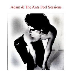 Adam and The Ants Peel Sessions PNG Transparent Background File Digital Download