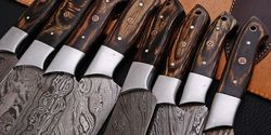 Forged Damascus Steel Chef Knife Set