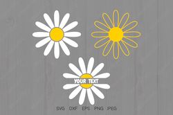 Daisy Svg White Flower Svg Cricut Downloads Silhouette Designs Daisy Flower Clipart Daisy Split Monogram Spring Svg