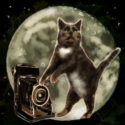 Beastinspace: Cat Photographer