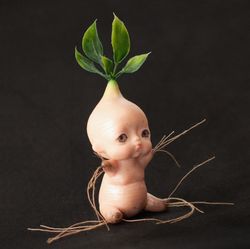 Mandrake root