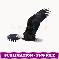 elegant american bald eagle in flight photo portrait - premium sublimation digital download