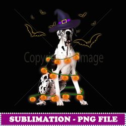 great dane wizard hat tree lights pumpkin funny halloween - signature sublimation png file