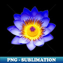 lotus flower graphic art print - professional sublimation digital download