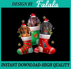 PNG ONLY Dachshund Christmas Stocking Png, Funny Xmas Dog Lover Png, Christmas Png, Digital Download