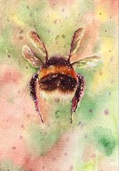 bumblebee butt print, watercolor poster, entomology art, cottagecore decor, bee art, a4 print