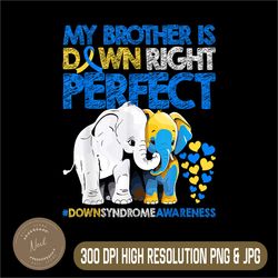 My Brother Is Down Right Perfect Png, Down Syndrome Awareness T21 Png, PNG High Quality, PNG, Digital Download