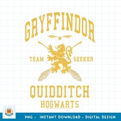 Kids Harry Potter Gryffindor Team Seeker Quidditch Youth PNG Download copy