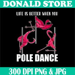 Funny Pole Dancing Flamingo Png, Dancing Womens Png, Fitness Workout Png, PNG High Quality, PNG, Digital Download