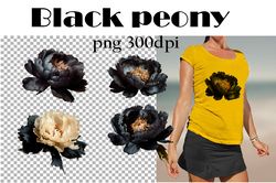 Black peony. PNG