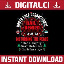 PNG ONLY North Pole Correctional Made Family Christmas Png, Ball Denied Disturbing The Peace Png, Christmas Png, Digital