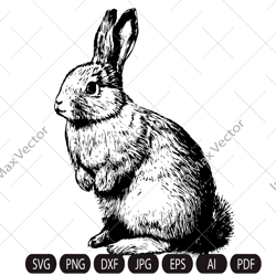 Rabbit SVG, Bunny monogram, easter , hunter svg, files for cricut, peeking animal clipart