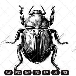 Scarab, Beetle Logo Svg , Bug Svg, Scarab Svg, Dung Beetle Svg, Egyptian Beetle Svg, Insects Clipart Svg , Clip Art, sil