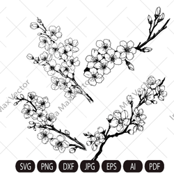 Cherry Blossom Line Art SVG, Floral SVG Bundle, Botanical Hand Drawn Illustration Clipart, Sakura svg